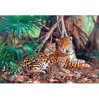 Jaguars in the jungle