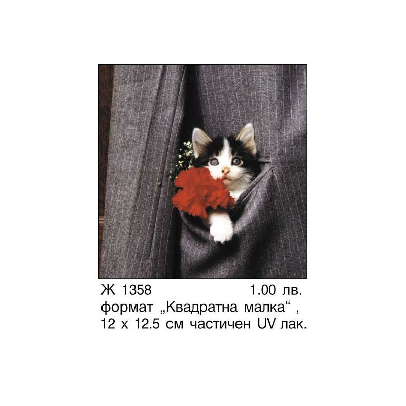 Картичка Коте в джоб