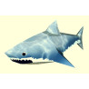 Акула - 3D Пъзел