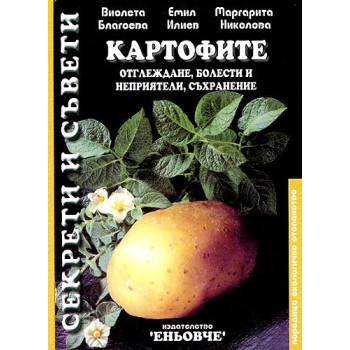 Картофите: Отглеждане, болести и неприятели, съхранение 