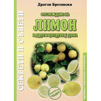 Отглеждане на лимон и други цитруси у дома 