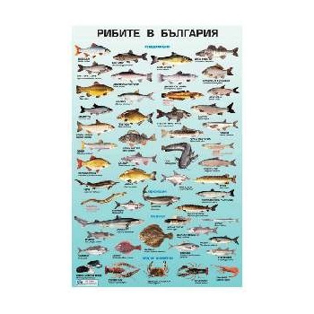 Табло "Рибите в България"