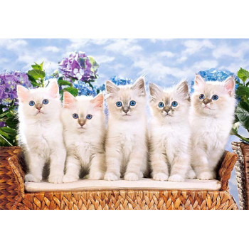 Пъзел - Blue-Eyed Kittens 