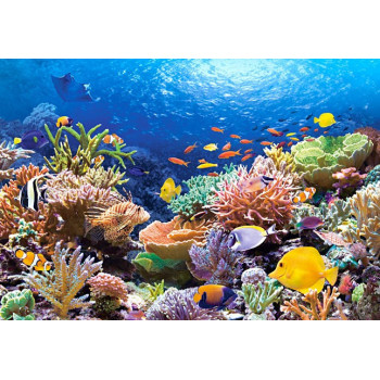 Пъзел - Coral Reef Fishes