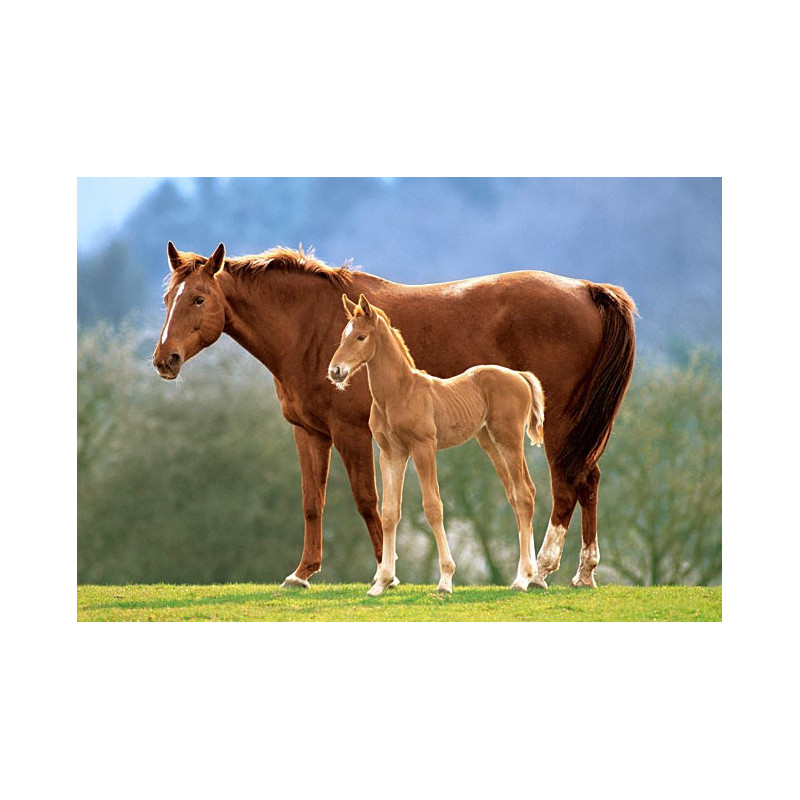 Пъзел - Westfalian Mare With Foal