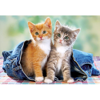 Пъзел - Two Kittens in Jeans