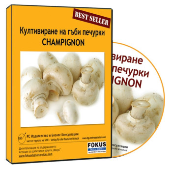 Култивиране на гъби печурки (Champignon)