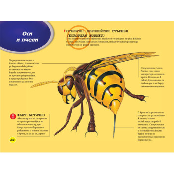 ЖИВОТНИТЕ  Образователна и забавна енциклопедия