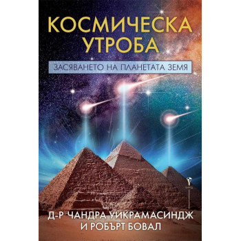 Космическа утроба