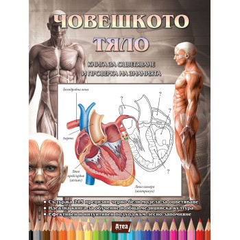 Човешкото тяло - Книга за оцветяване и проверка на знанията