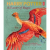Harry Potter - A History of Magic : The Book of the Exhibition