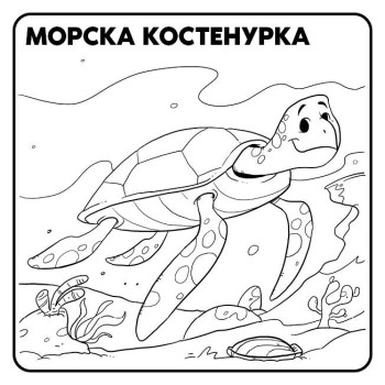 Хайде да рисуваме: Морски животни