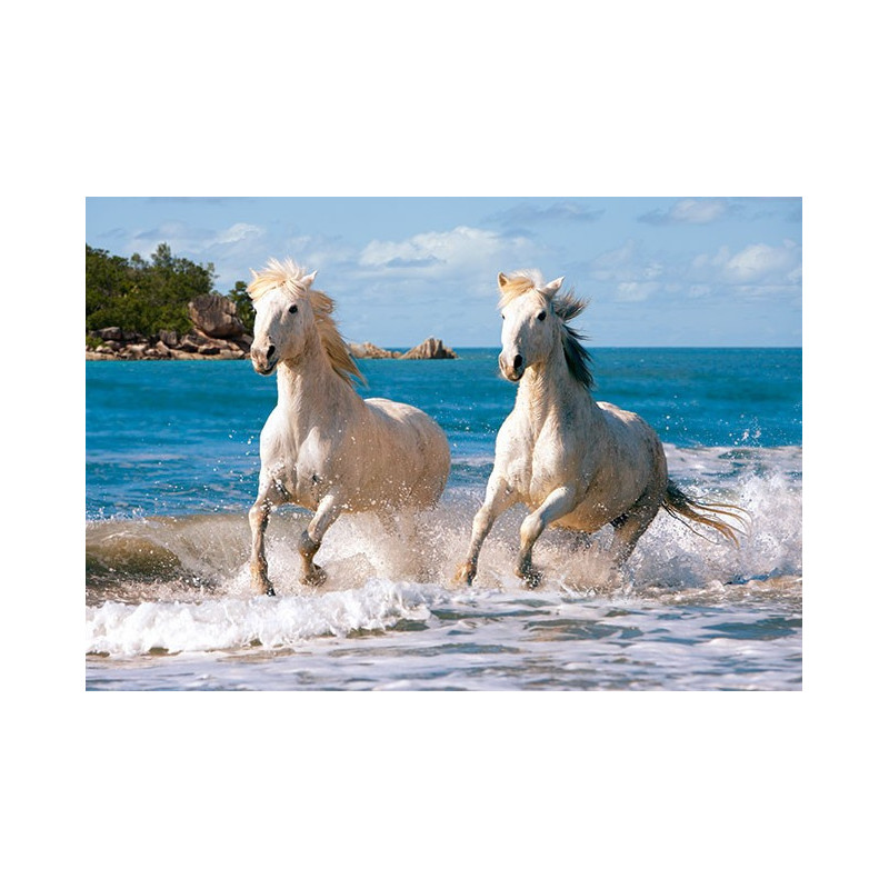 White Camargue Horses