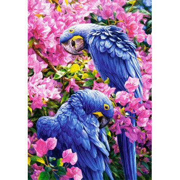 Blue Parrots