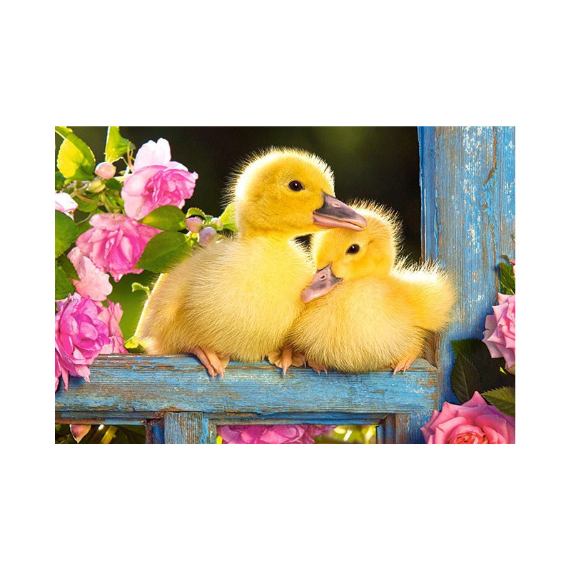 Two Ducklings