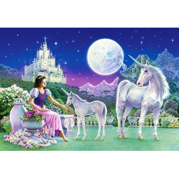 A Princess and Unicorns