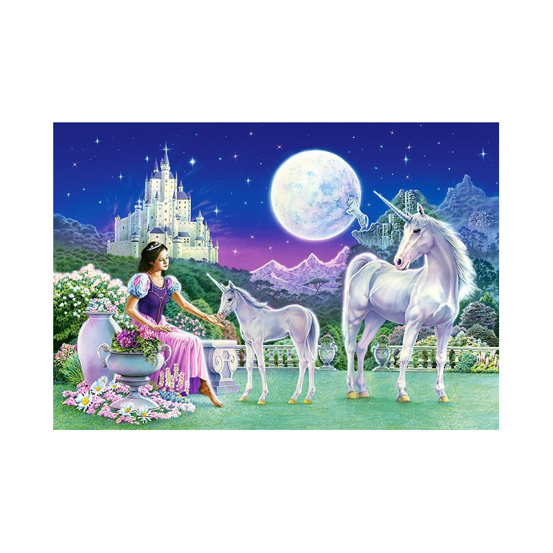 A Princess and Unicorns